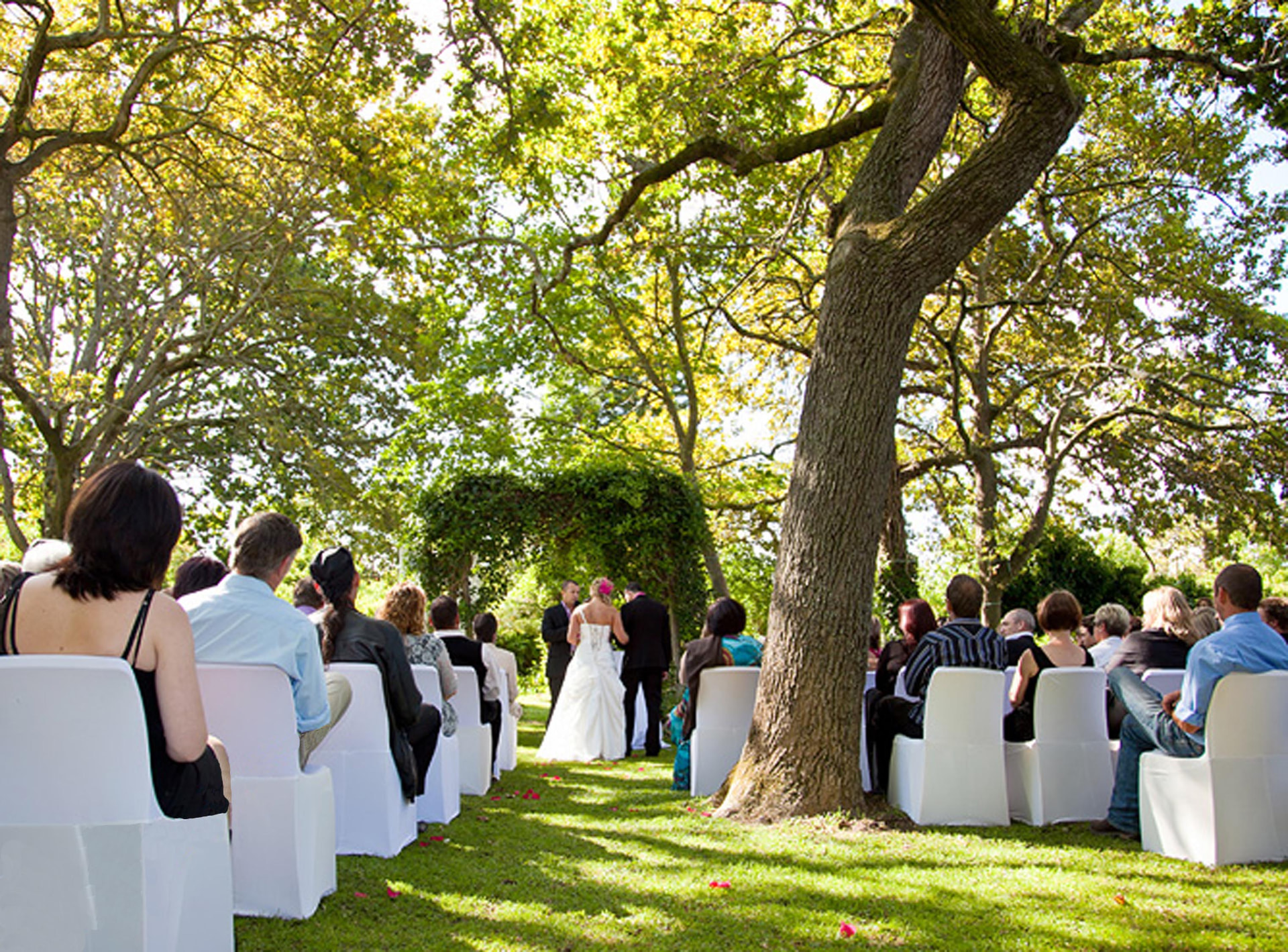 A wedding ceremony on the lawn at Muldersvlei beneath the old oaks, guests seated in white-covered chairs on either side of a grass aisle scattered with petals