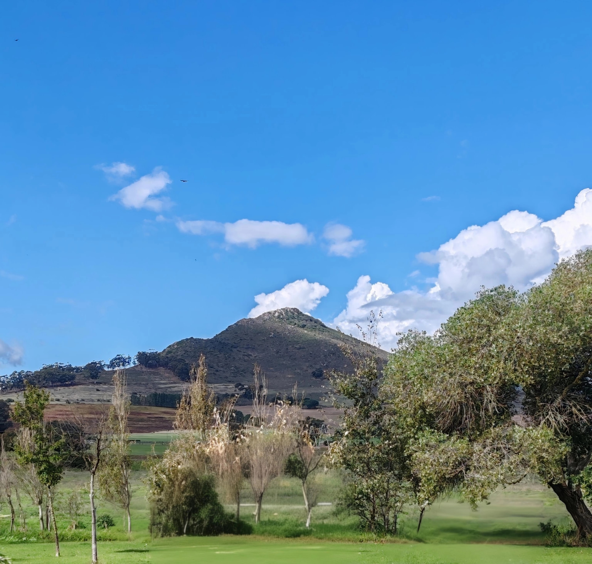 The view across the Muldersvlei grasslands to the koppie under a big blue Cape sky, the landscape guests wake up to