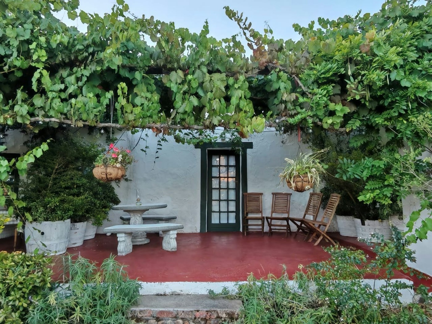 The vine pergola over the courtyard outside the guest rooms, table and chairs in the shade