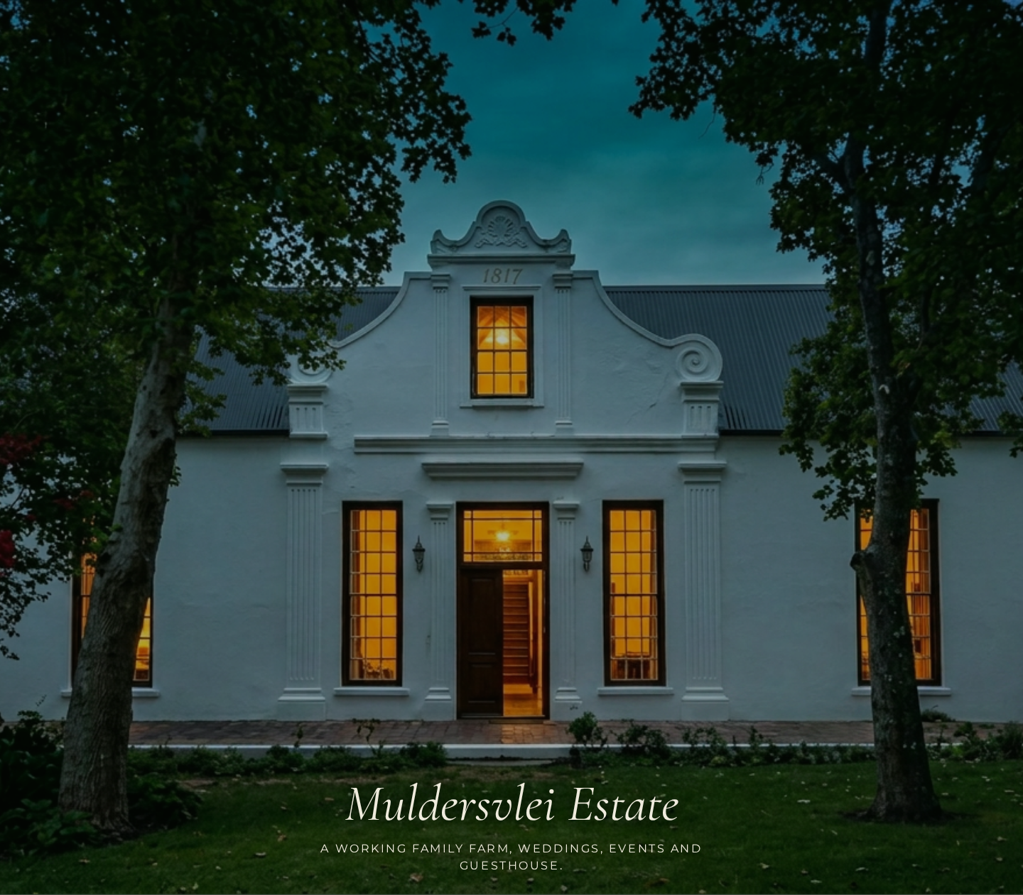 Muldersvlei Estate Manor House at dusk with illuminated windows and the words A working family farm, weddings, events and guesthouse